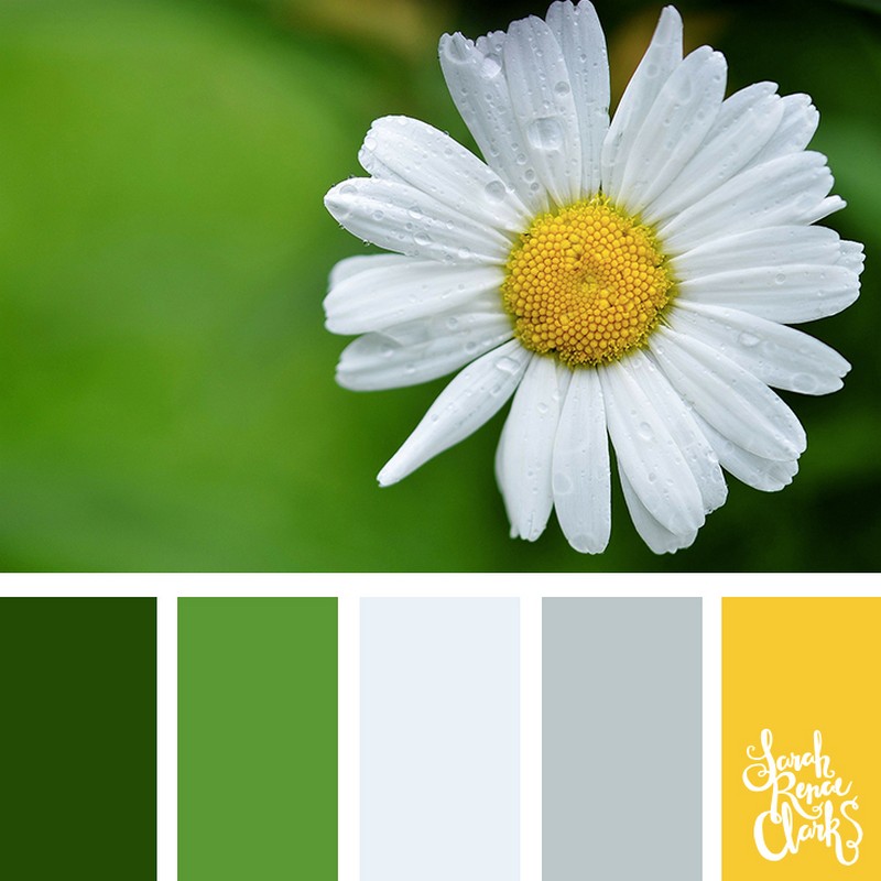 30+ Color Palettes Inspired by the Pantone Spring 2017 Color Trends ➤ Discover the season's newest designs and inspirations. Visit Design Build Ideas at www.designbuildideas.eu #designbuildideas #homedecorideas #InteriorDesignProjects @designbuildidea