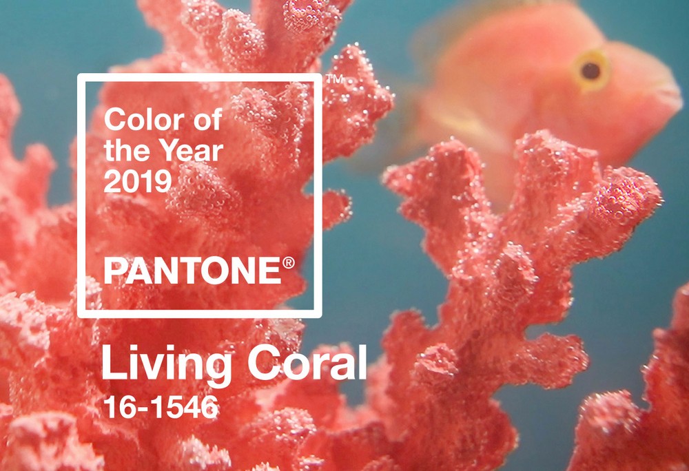 Embrace the Warm Tones of the 2019 Color of the Year Chosen by Pantone 8